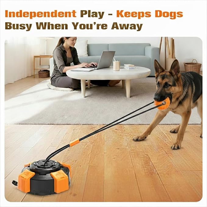 Frozen Dog Treat Toy & Suction Cup Dog Toy for Large & Medium Dogs- Complete Dog Toy Set with Rope Toy and Puzzle Toy for Aggressive Chewers, Interactive Chew Toys for Mental Stimulation