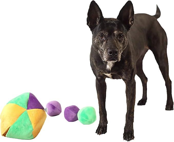Midlee Hide a Ball Dog Puzzle Toy with 8 Plush Squeaker Balls (Large)