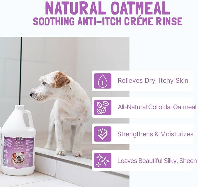 Bio-Groom Oatmeal Dog Conditioner – for Allergies and Itching, Cruelty-Free, Dog Bathing Supplies, Puppy Conditioner for Sensitive Skin, Made in USA, Anti-Itch Dog Products – 1 Gallon