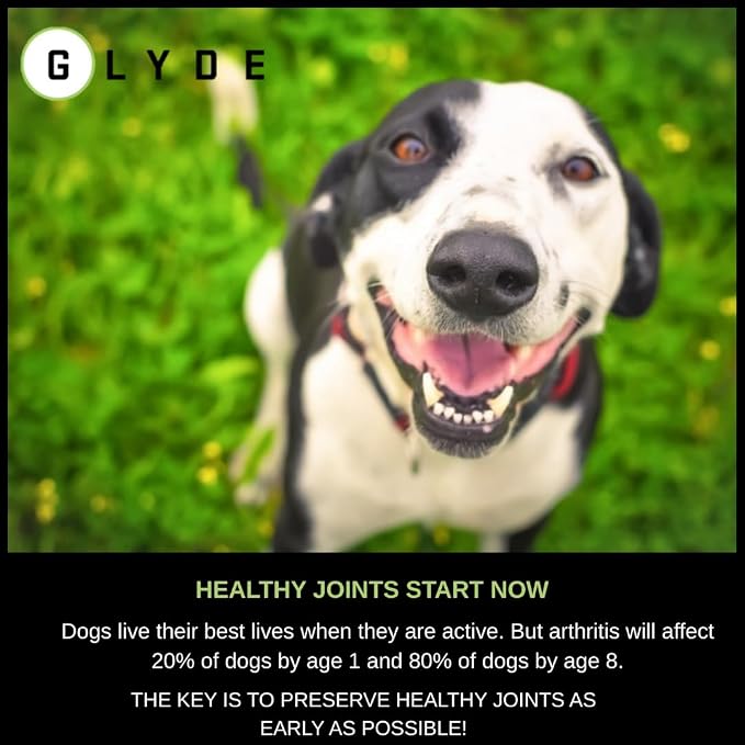 Glyde Hip & Joint Supplement for Senior Dogs, Mobility Support, 60 Chews | Green Lipped Mussel, Glucosamine and Chondroitin help support healthy cartilage, joints and mobility in senior dogs