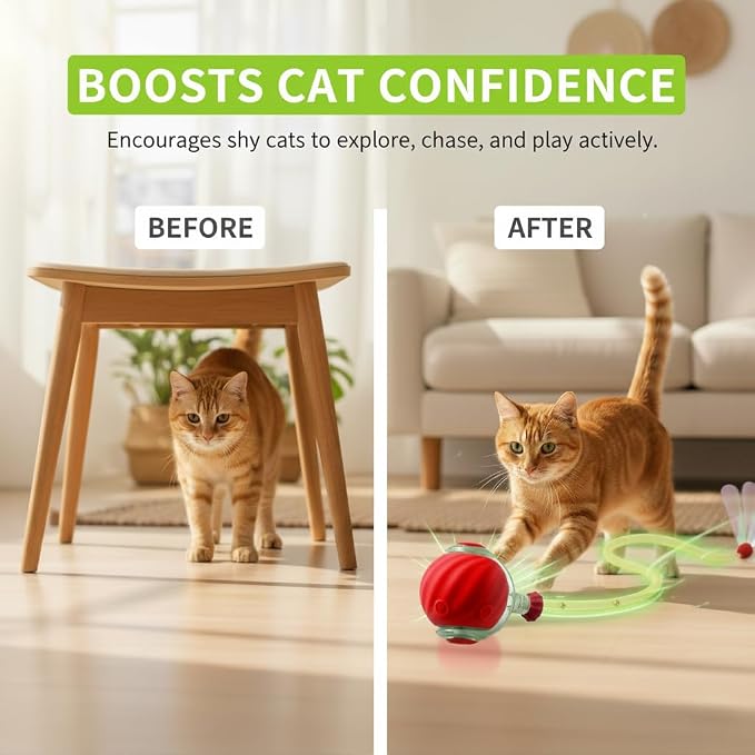 Interactive Cat Ball Toy with Tail for Indoor Cats Kittens – 2026 - Automatic Smart Rolling Motion Pet Exercise for Small Dogs | Rechargeable Motion-Activated, USB Charging Self-Play (RED)