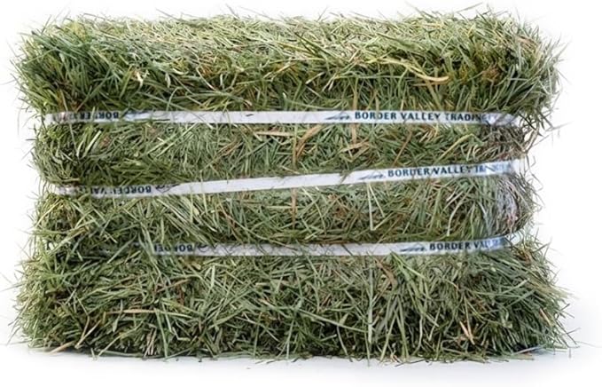 Border Valley Orchard Grass Hay Bale in Bag, 40 lb - Soft High Fiber Hay for Rabbits, Guinea Pigs, Chinchillas, Tortoises, Horses and Livestock - Leafy Grass Hay, Farm-to-Home Freshness