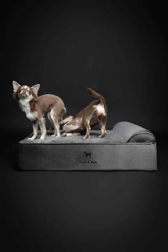 NOAH & PAW Dog Bed, 28x23x7.5 Inch, Orthopedic Dog Beds for Medium Size Pets, Eggshell Memory Foam Infused with Cooling Gel, Water Resistant, Machine Washable, Includes Inner Cover (Velvet Collection)