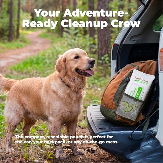 Best Pet Supplies 8" x 9" Large Dog Wipes - Cleaning and Deodorizing for Paws and Coat - Gentle Formula with Cucumber Vitamin E for Puppies and Cats - 100 Count
