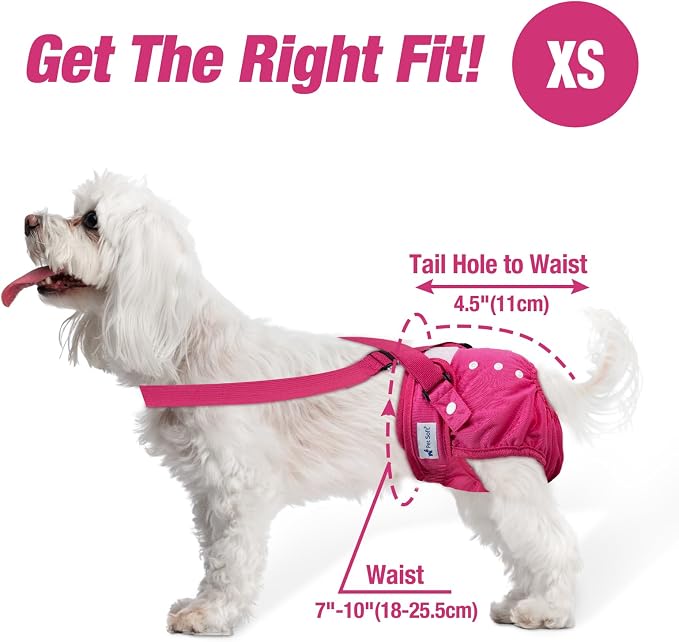 Pet Soft Dog Diapers Female with Suspenders, 3 Pack Reusable Female Dog Diapers for Heat, Dog Period Panties for Doggie in Cycle(X-Small, Berry Mix)
