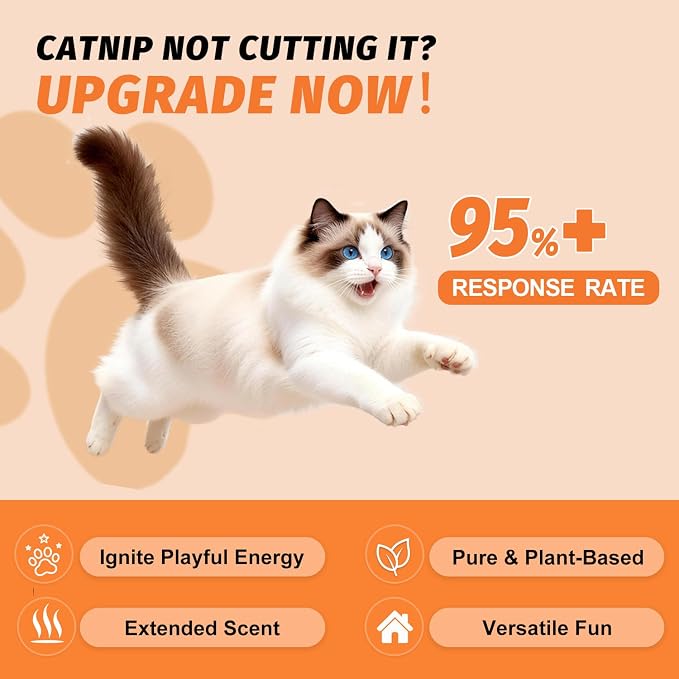 PAW PLANET 2.8 fl.oz. Advanced Catnip Spray with Silvervine for Indoor Cats & Kittens, High-Potency Formula, Natural Training & Play Mist (Animal)