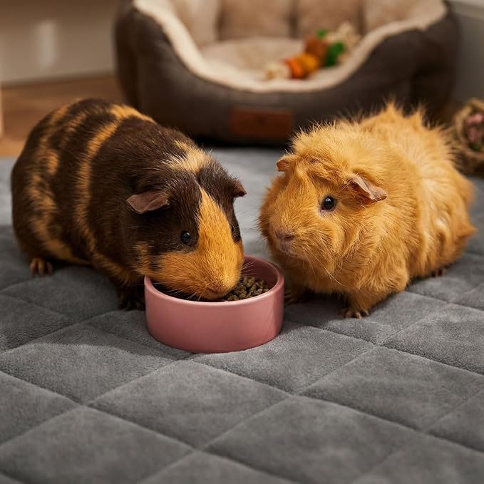 Guinea Pig Bedding, 2 Pack 59x31IN Fleece Cage Liner, Super Absorbent & Odor Control & Washable & Reusable Guinea Pig Liner for C&C 2X4 Cage, Pee Pad Mat for Small Animal, Rabbit, Bunny
