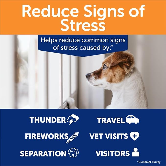 ThunderBites Hemp Calming Chews for Dogs, Everyday Use Can Help Relieve Stress from Separation, Storms, Fireworks & Travel (180 Count), Formerly ThunderWunders