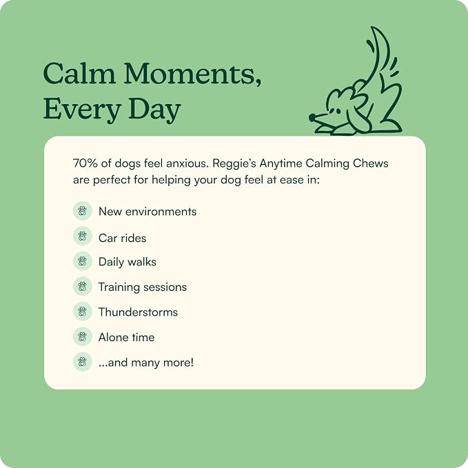 Reggie Anytime Calming Drops for Dogs | Fast-Acting Natural Anxiety Relief with L-Theanine, GABA & Chamomile | Dog Calming Tincture for Stress, Separation Anxiety, Thunderstorms & Travel | 2 fl oz