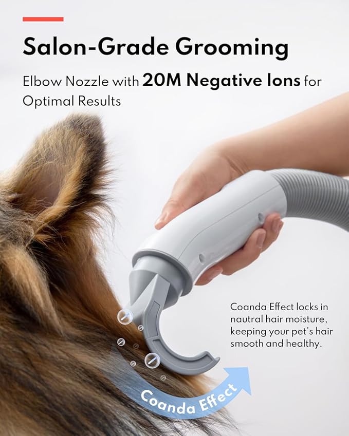 HomeRunPet Dog Dryer, Ultra Quiet High Velocity Blow Dryer for Dogs with 99 Speed & 3 Temperature Settings, 6.5ft Long Hose & LED Display, Perfect for Dogs, Pets Grooming