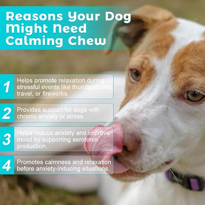 Pets Calming Chew | Relaxation Support for Dogs | Natural Stress Relief Chewable Tablets | 30 Chews