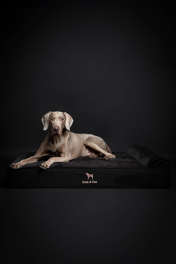 NOAH & PAW XL Dog Bed, 45x35x9.1 Inch, Orthopedic Large Dog Beds, Eggshell Memory Foam Infused with Cooling Gel, Water Resistant, Machine Washable, Includes Inner Cover (Denim Collection)
