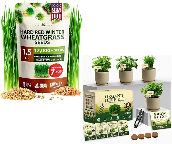 HOME GROWN 12,000+ Wheatgrass Seeds & HOME GROWN Indoor Organic Herb Garden Kit – Unique Christmas Gift for Adults, Men, & Women - Grow 4 Herb Seeds