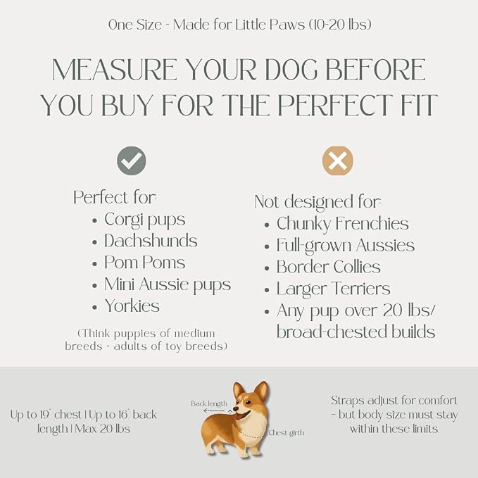 Dog Carrier Backpack for Small and Medium Dogs, Hands-Free Front Chest Carrier, Escape-Proof, Breathable, Adjustable Straps for Comfortable Travel and Hiking | My Modern Pet