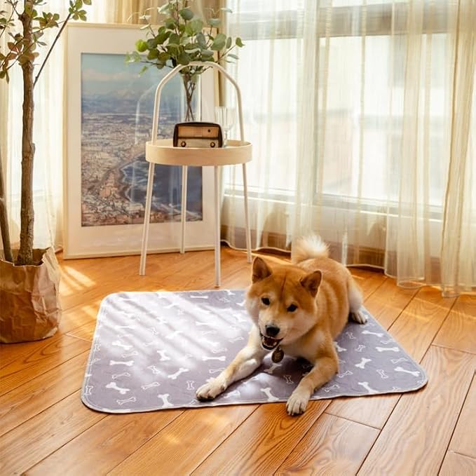 2 Pack 34"x36" Washable Pee Pads for Dogs, Super Absorbent Reusable Training Dog Pads with Bone Print, Non-Slip Potty Pads for Whelping, Playpen, Crate, Bed