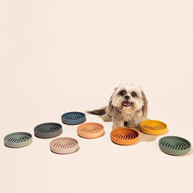 Should We Go? Slow Feeder Dog Bowls - Small Size Silicone Slow Eating Dog Bowl for Puppies & Dogs with Suction Cup -Dishwasher-Safe, Lick Mat Design, Reduces Gulping, for All Breeds, 6”x1.25”- Blush