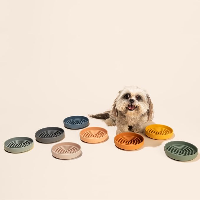 Should We Go? Slow Feeder Dog Bowls - Small Size Silicone Slow Eating Dog Bowl for Puppies & Dogs with Suction Cup -Dishwasher-Safe,Lick Mat Design,Reduces Gulping, for All Breeds, 6”x1.25”- Charcoal