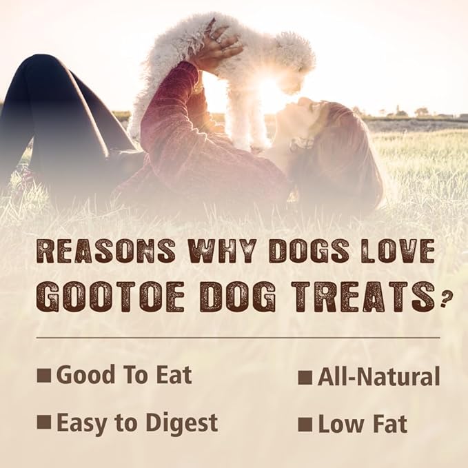 Gootoe Turkey Tendons for Dogs –All-Natural, Hypoallergenic Dog Treats, Rawhide Alternative, Long Lasting Puppy Chews, Healthy Dog Treats for Medium Breeds, Braid (M), 1 lb