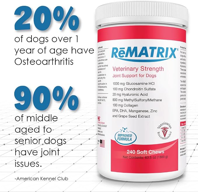 Joint Support Supplement for Dogs - Glucosamine, Chondroitin, MSM, Omega-3 - Hip and Joint Pain Relief and Support for Dogs - Made in USA - 240 Soft Chews