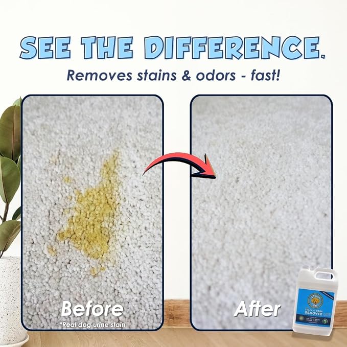 Pet Stain & Odor Remover – Professional Strength Carpet, Upholstery & Rug Cleaner for Dog & Cat Urine, Feces, Vomit, Coffee & Wine – Multi-Surface Odor Eliminator (1 Gallon)
