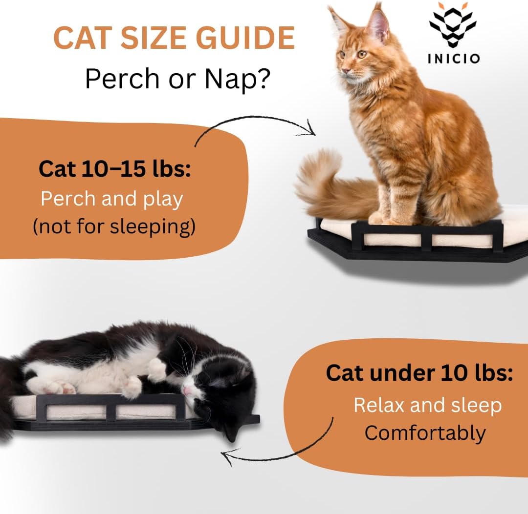INICIO Cat Wall Shelves - Modern and Durable 3 Step Cat Furniture for Wall - Stylish Birch Floating Shelf for Cats up to 15lbs - Wooden Corner Shelves with Cushioned Perch - Black