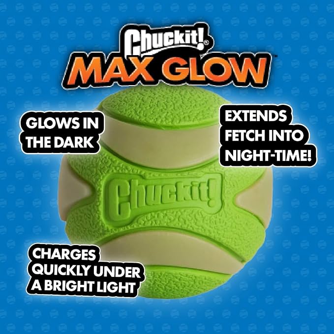 Chuckit! Glow in the Dark Bouncy Balls - Ball for Dogs, Chuckit Dog Toy, Max Glow Balls - Extra-Large, 3.5 Inch, Pack of 1