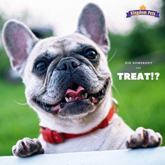 Filler Free Chicken Jerky & Rawhide Wraps, Premium Treats for Dogs, 32-ounce bag