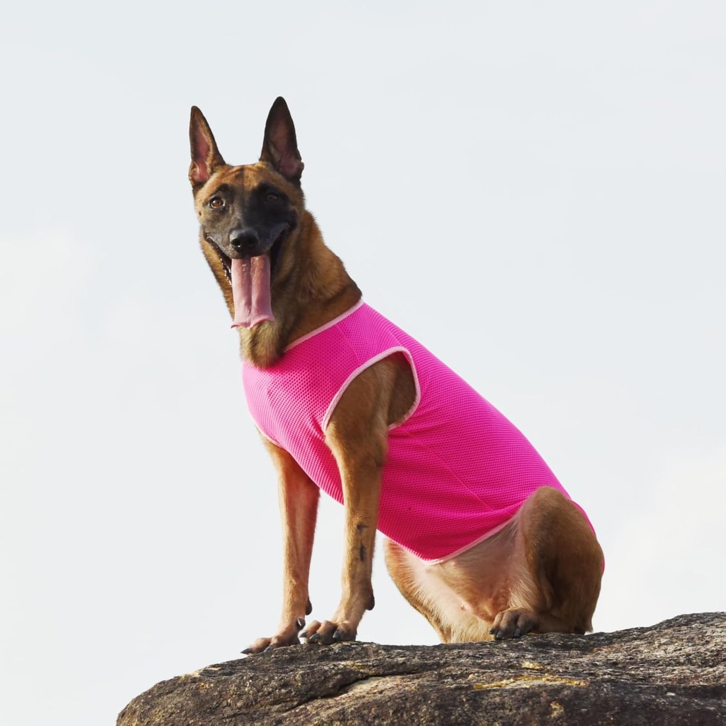 2 Pack Cooling Shirts for Dogs, Breathable Lightweight Dog Shirts for Large Dogs Girl, Sleeveless Sun Protection Shirts for Dog&Cat Puppy Vest Pet Apparel