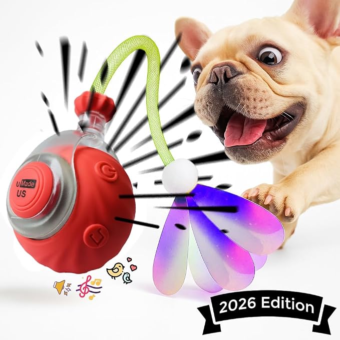 Cat Toys for Indoor Cats – 2X Automatic Kitten Interactive Toy with Speedy Ball Tail as Pet Mental Stimulation - 2-Set Bundle - 2026 Edition (Random Color)