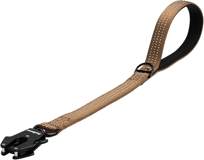 PetBonus Heavy Duty 24 Inch Short Dog Leash and 2-Pack Large Silicone Collapsible Dog Bowls