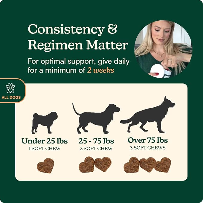 Reggie Anytime Calming Chews for Dogs | Dog Anxiety Relief with L-Theanine & Magnolia Barks | Dog Calming Treats for Separation Anxiety, Thunderstorms, Travel & Stress | 60 Soft Chews