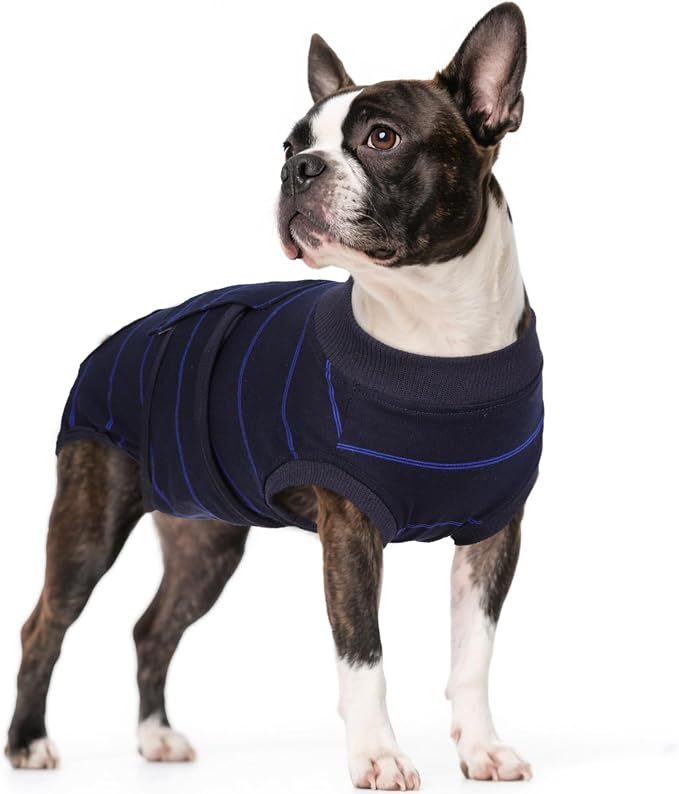 Kuoser Dog Surgery Recovery Suit, Soft Breathable Dog Recovery Suit for Female Spay Male Nueuter, Anti Licking Puppy Onesie Pet Surgical Suit for Dogs Abdominal Wounds Skin Disease, Blue Strips M
