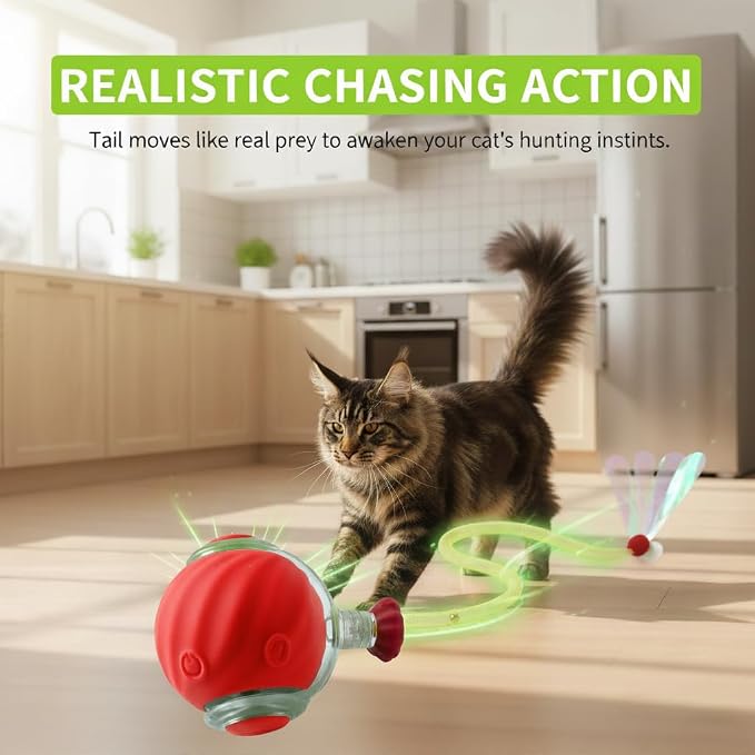 Cat Toys for Indoor Cats – 2X Automatic Kitten Interactive Toy with Speedy Ball Tail as Pet Mental Stimulation - 2-Set Bundle - 2026 Edition (Random Color)