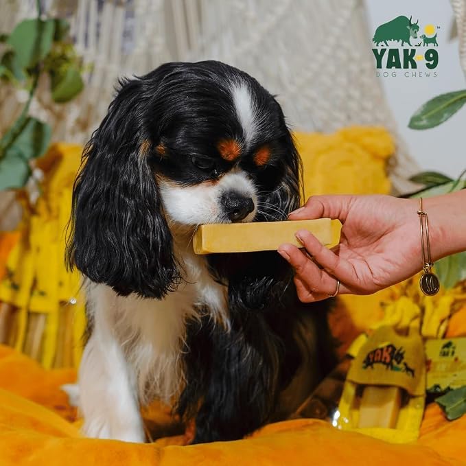 Yak9 Himalayan Yak Cheese Dog Chew, Honey & Spirulina | High Protein Treats, High Fiber, Rawhide Free, Long Lasting Treats | Large Yak Chew, 1 PC