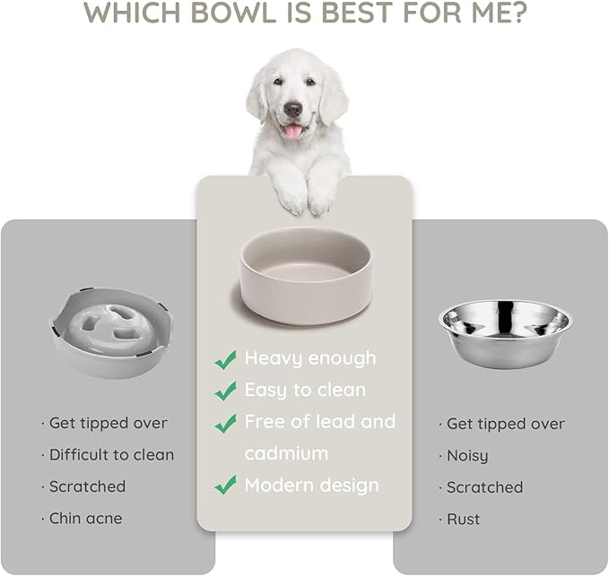 SPUNKYJUNKY 28.7OZ Ceramic Dog and Cat Bowl, Modern Cute Weighted Food Water Bowl for Replacement Grey (2 Pack)