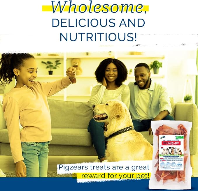 PCI Pet Center Inc. Pigearz 20ct - Natural
