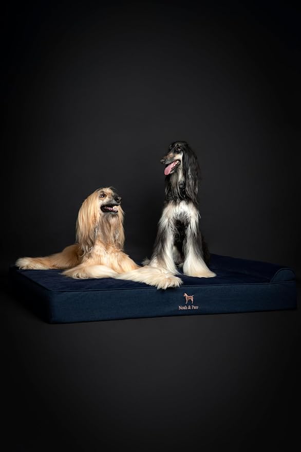 NOAH & PAW Giant Dog Bed XXL 55x45x9.5 Inch, Orthopedic Dog Beds, Eggshell Memory Foam Infused with Cooling Gel, Water Resistant, Machine Washable, Includes Inner Cover (Denim Collection)