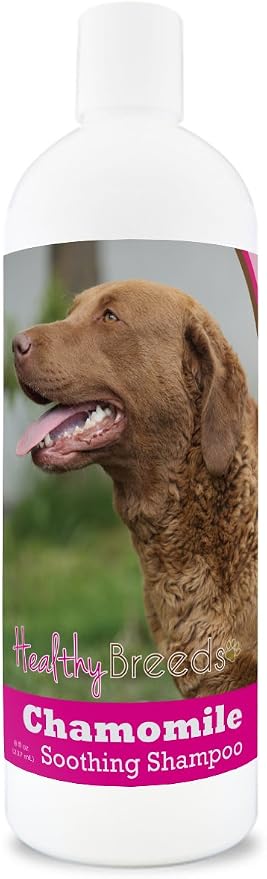 Healthy Breeds Chesapeake Bay Retriever Chamomile Soothing Dog Shampoo 8 oz