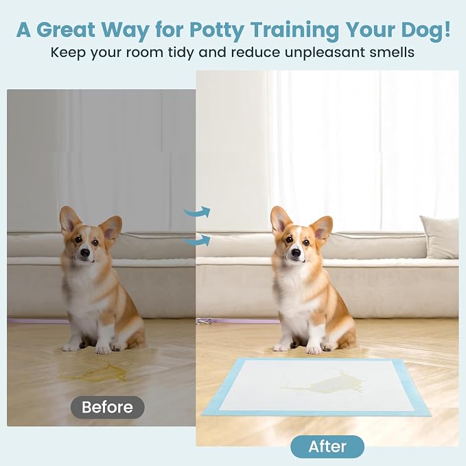 PETSITE Dog Pee Pads 36"x24"-150 Count, Dog and Puppy Potty Training Pads Super Absorbent & Leak-Proof, XL Disposable Pet Piddle Pad and Potty Pads for Dogs, Puppies, Doggie