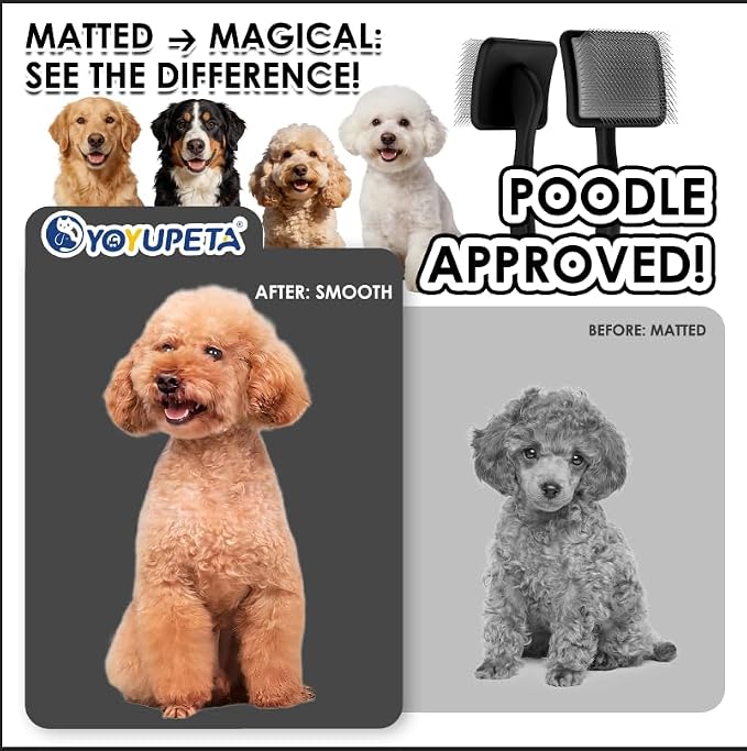Large Slicker Brush for Dogs - Long Pin Deshedding Brush for Mats & Shedding on Long Haired Dogs, Doodles, Poodles, Goldendoodle, Labradoodle, 3pc Grooming Kits with Wooden Handle, Black