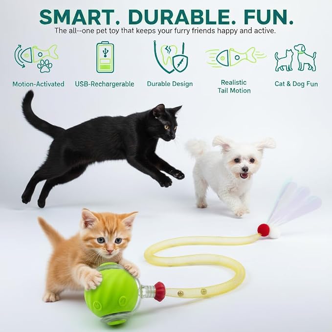 Cat Toys for Indoor Cats – Automatic Kitten Interactive Toy with Speedy Ball Tail as Pet Mental Stimulation - Kittens Small Dogs and Bored Adult Dog Balls to Keep Them Busy 2026 (Green Ball)