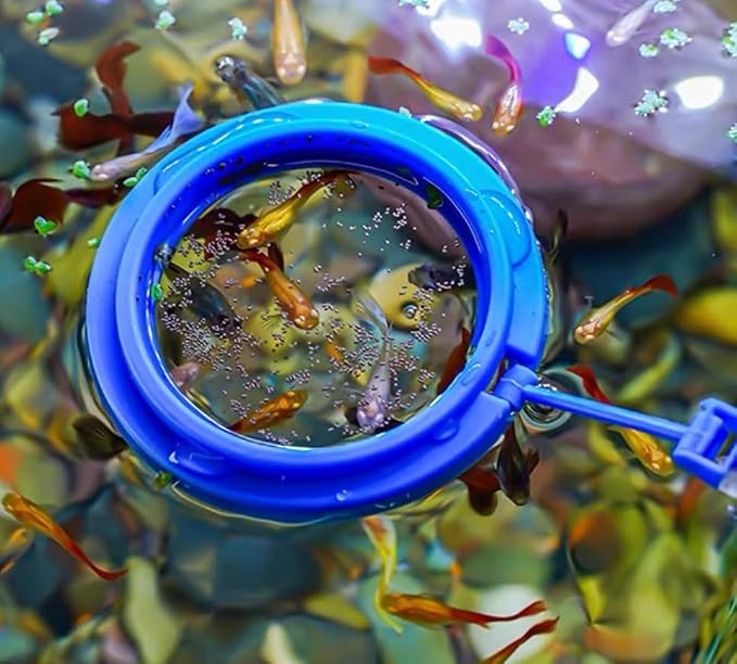 31.5Inch Long Corals Grabber,reefs Feeders,Aquarium Veggie Feedting Tool,Aquarium Food Clip Feeding(Long Reef Grabber and Coral Feeder Kits(Anti-Rust)