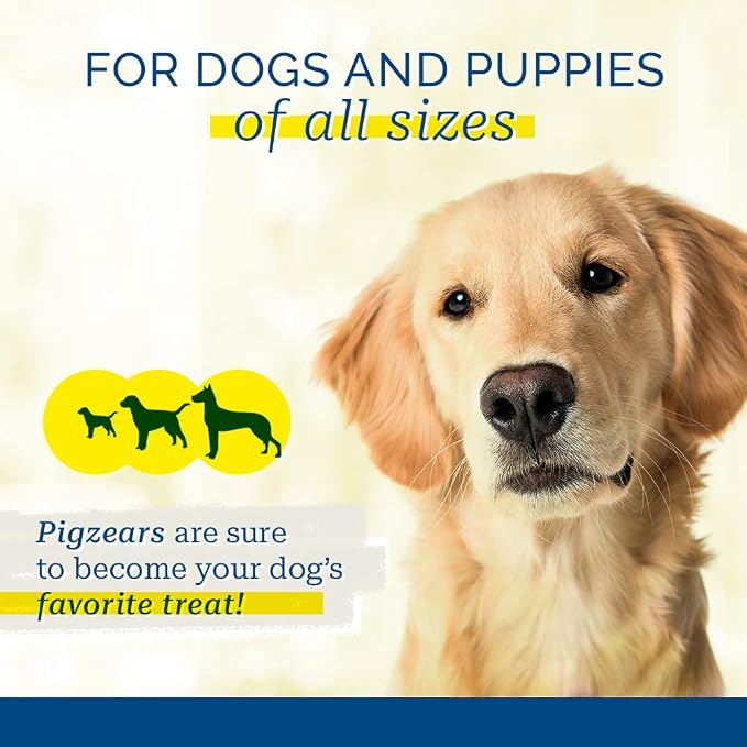 PCI Pet Center Inc. Pigearz 20ct - Natural