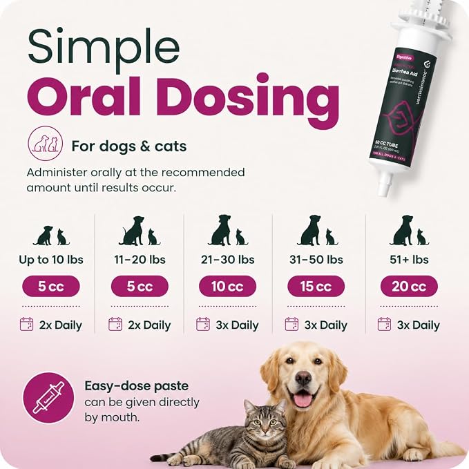 VetriScience Quick Action Diarrhea Aid Paste with Probiotics & B Vitamins, Fast Balance Digestive Support Supplement for Dogs and Cats, Gut Balancer, Unflavored, 35 cc