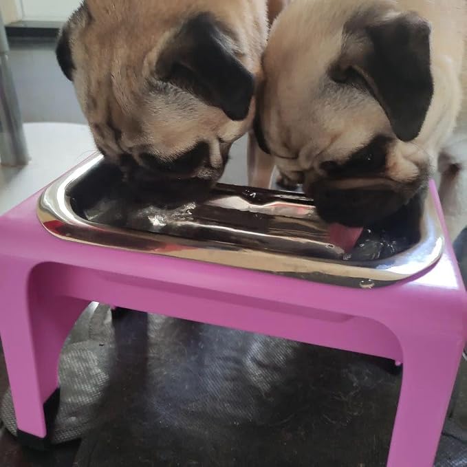 Fluff Trough 7.25 Inch Tall Elevated Dog Bowls Stainless Steel Raised Dog Bowl with Stand Holds 2 Cups Pet Food Vet Recommended, Dishwasher Safe Feeder Station