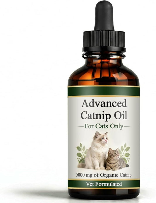 Catnip Oil for Cats, Premium Catnip Essential Oil, Supports Cat Digestive & Immune Balance, 60ml (1)