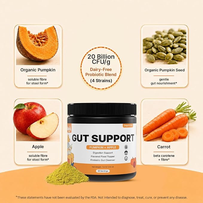 Pumpkin Gut Support for Dogs – Digestive Health Supplement with Natural Fiber & Probiotics, 30 Servings | Kubi Pets (30)