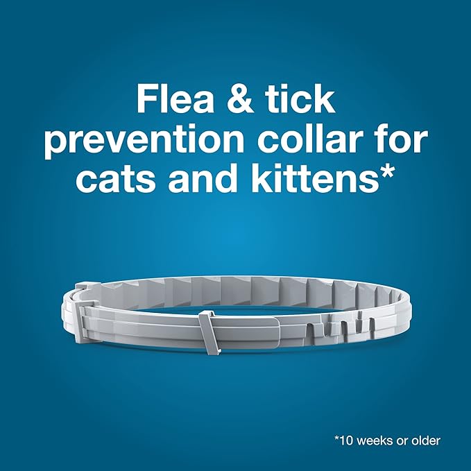 Seresto Cat Vet-Recommended Flea & Tick Treatment & Prevention Collar for Cats | 8 Months (Pack of 2)