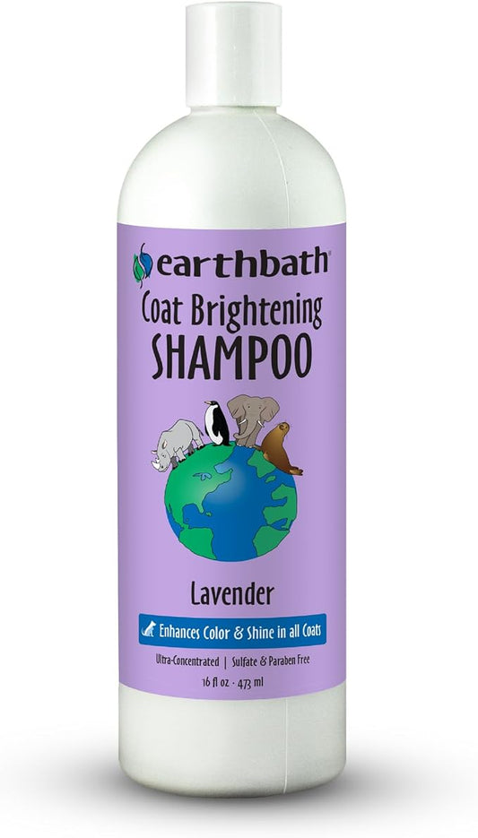 earthbath, Lavender Dog Shampoo - Coat Brightening Shampoo for Dogs, Deodorizing Dog Wash, Made in USA, Shampoo for Smelly Dogs, Cruelty Free Pet Shampoos - 16 Oz (1 Pack)