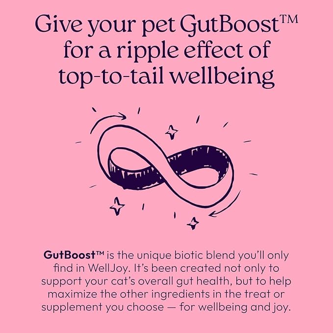 New! WellJoy Cat Supplement Urinary+ GutBoost | Cat Health Supplement | Supports Urinary Tract Health | Dual-Benefit GutBoost Formulation | Vet Formulated | USA Made | Chicken Flavor | 90 Soft Chews